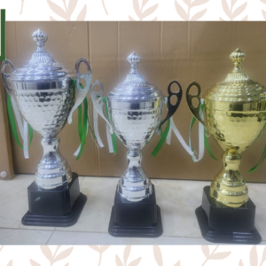 Hand Made Metal Trophy for School or Sports Events