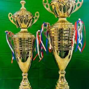 Golden Handmade Metal Bras Trophy Set Sports Cricket