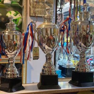 Silver Trophy Set Of 3