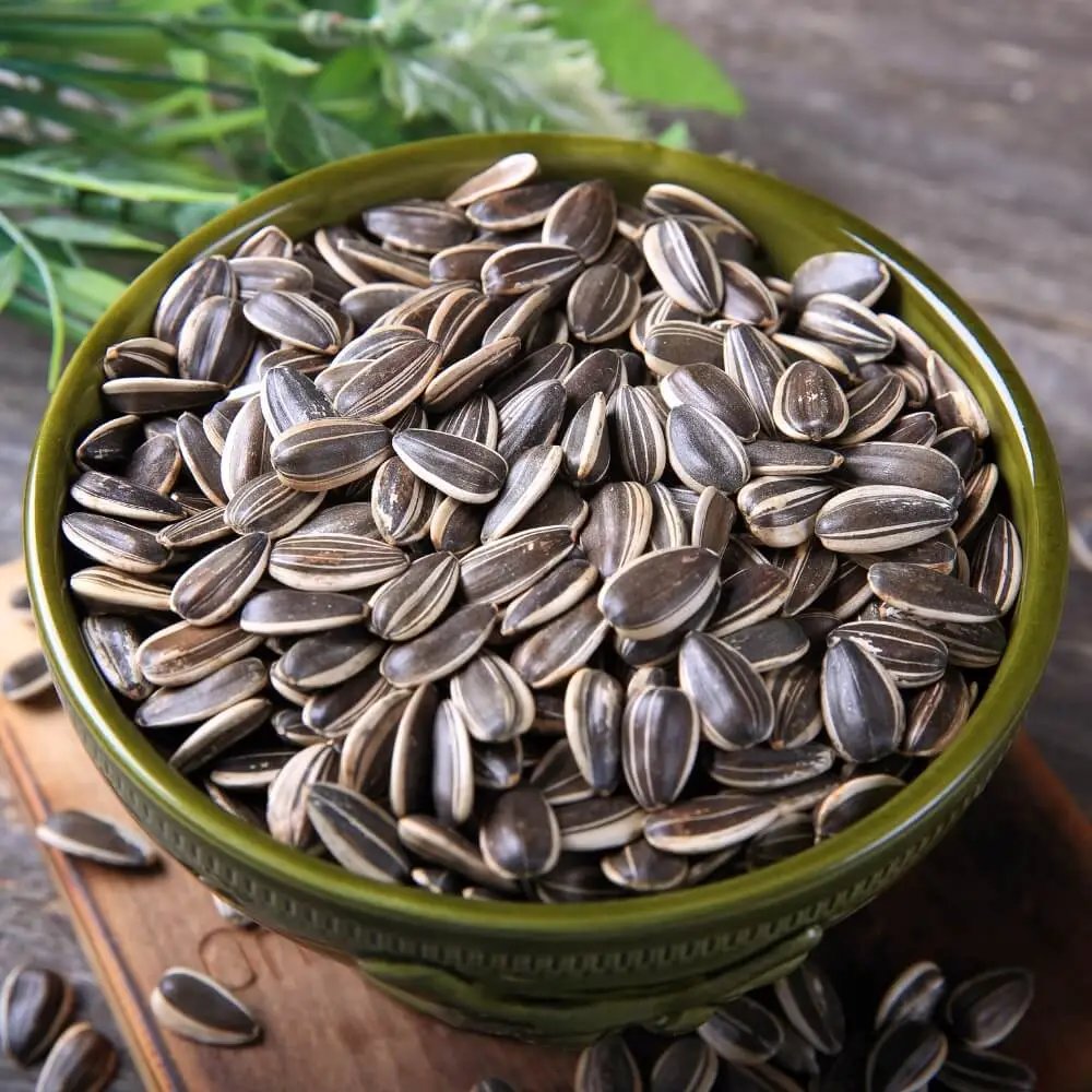 Sun Flower Seeds | 500 grams | Imported | Fresh | High Quality