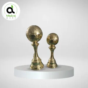 Sports Day Cup Trophy