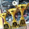 Gold Trophy