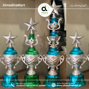 Premium Quality Plastic Trophy