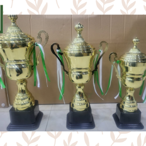 Hand Made Metal Trophy for School or Sports Events
