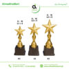 Golden Star Cup Trophy set