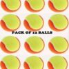 Cricket Ball