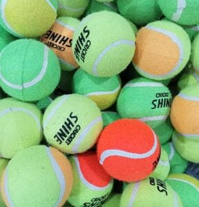 Cricket Shine Balls