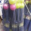 Kids plastic bat