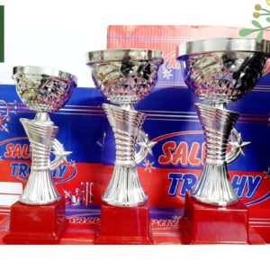 Premium Quality Plastic Trophy