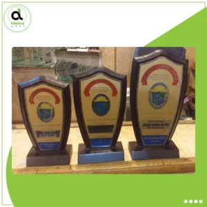 Wooden Goled sheet Award