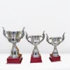 Sports Day Cup Trophy