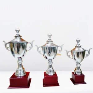 School Award Cup Trophy