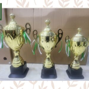 Hand Made Metal Trophy for School or Sports Events