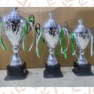Hand Made Metal Trophy for School or Sports Events
