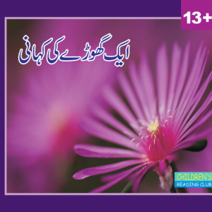 Aik gohray ki kahani