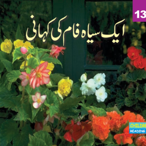 Aik Siah Fam Ki Khani