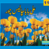 Ali baba Chalis Chor