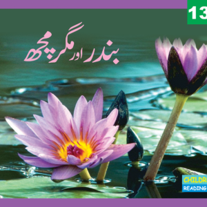 Bandar aur magar mach
