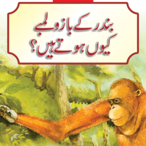 Bandar Kay Bazo Lambay kun Hotay Hain