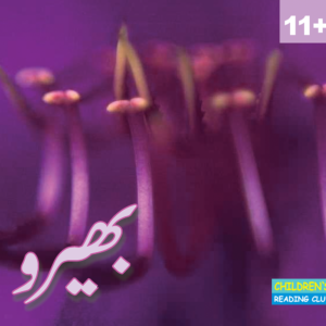 Bheru