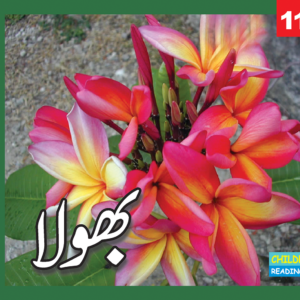 Bhola