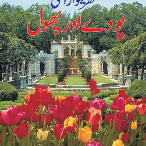 Gharaylu Araishi Pouday aur Phool