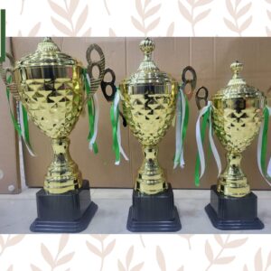 Hand Made Metal Trophy for School or Sports Events
