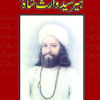 Heer Waris Shah (Small)