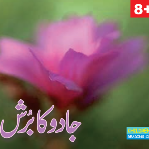 Jadu ka bursh