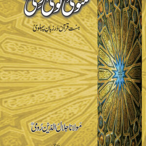 Masnavi molvi maanvi (3 vol)