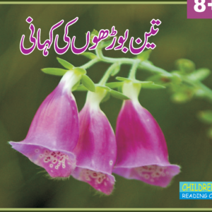 Teen Boro Ki Kahani
