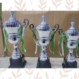 Hand Made Metal Trophy for School or Sports Events