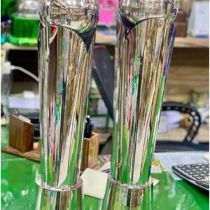 Cricket Brass Trophy