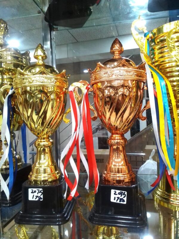 Trophy Design# 2075