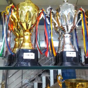 Trophy silver & Golden
