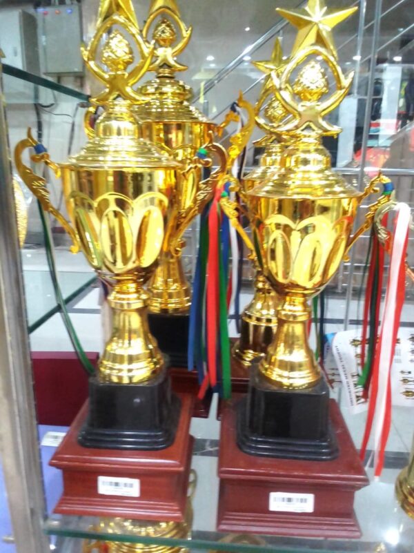 Star Trophy Set New