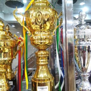 New Trophy Design # 2330