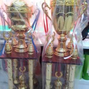 Big Size New Trophy Set