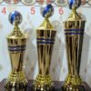 Golden & Blue Ball Trophy For Tournament