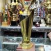Sports_trophy_Cricket