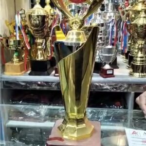 Sports_trophy_Cricket