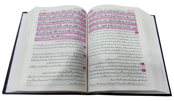 Aasan Tarjuma Quran-e-Pak By ( Dr Israr Ahmed آسان ترجمہ قرآن پاک ڈاکٹر اسرار احمد - Image 3
