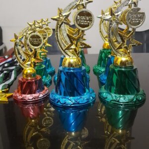 Multi Base Golden Star Trophy Plastic