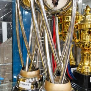 Silver Metal Trophy For Cricket Tournament