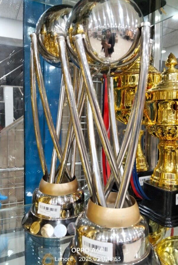 Silver Metal Trophy For Cricket Tournament
