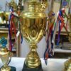 Golden Metal Cup Shape Trophy single