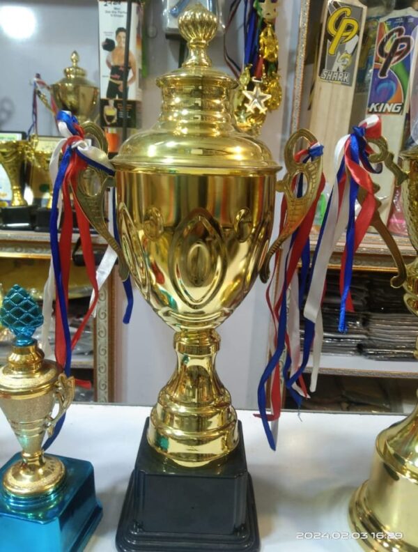 Golden Metal Cup Shape Trophy single