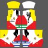 Sports T-shirt Yellow Red , White Color Print
