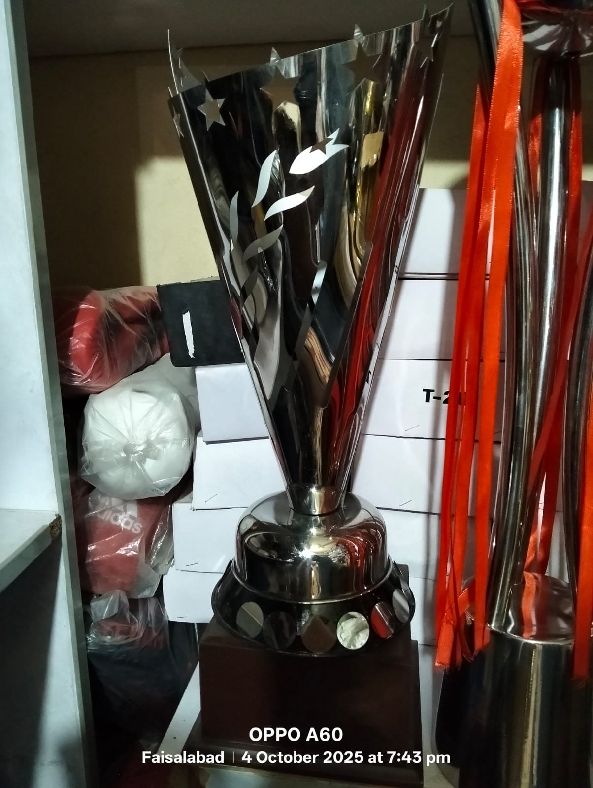 Metal Trophy - Image 3