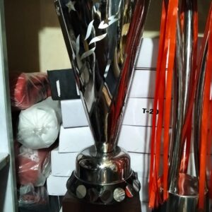 Alternative view of Metal Trophy